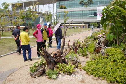 주말을 맞이 해서 많은 관람객들이 수도권매립지 야생화전시회를 찾았다.